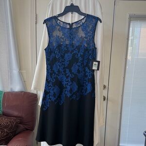 Elegant Blue and Black Lace Dress